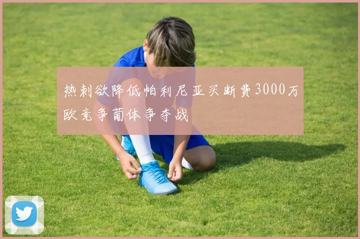热刺欲降低帕利尼亚买断费3000万欧竞争葡体争夺战