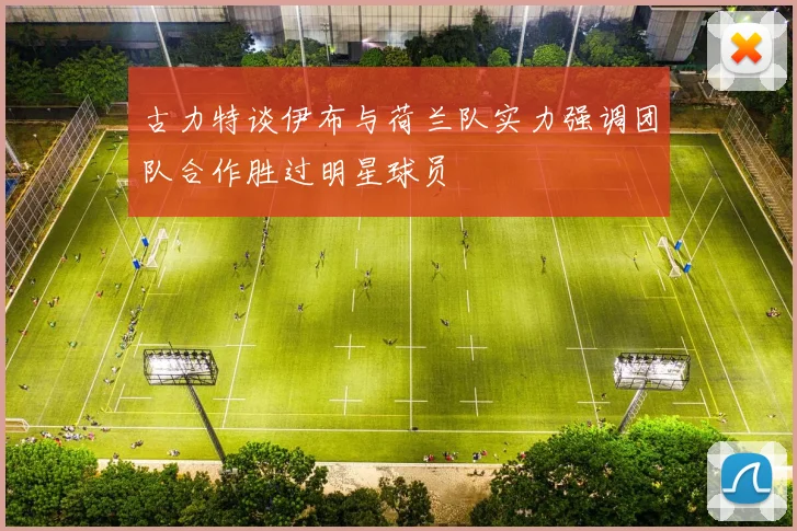 古力特谈伊布与荷兰队实力强调团队合作胜过明星球员
