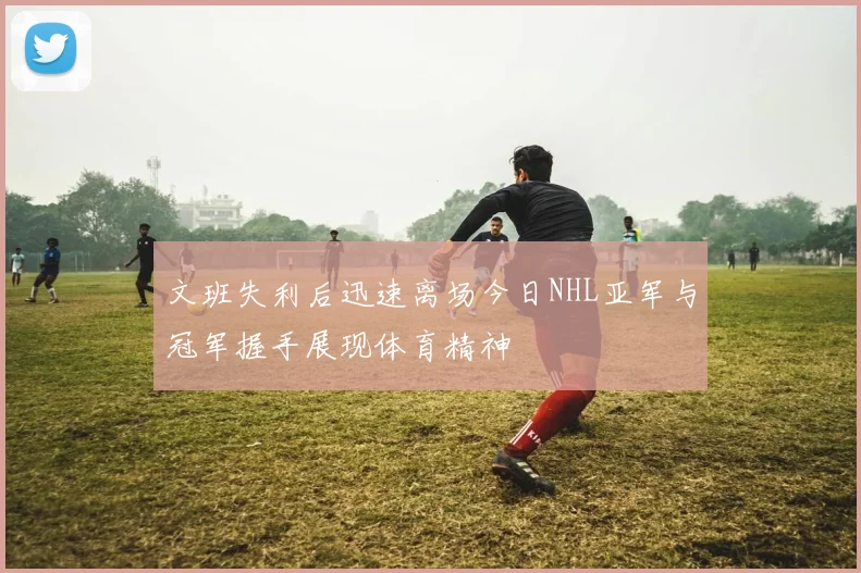 文班失利后迅速离场今日NHL亚军与冠军握手展现体育精神