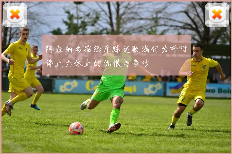 阿森纳名宿怒斥球迷肤浅行为呼吁停止无休止的仇恨与争吵